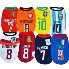 THICK DOG - Red Soccer Jersey main image 1