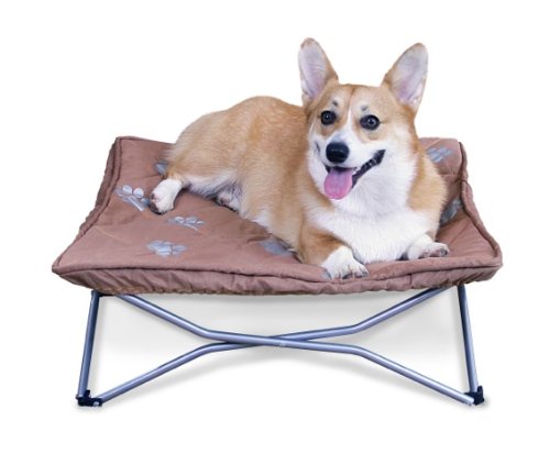 Carlson elevated folding pet 2024 bed